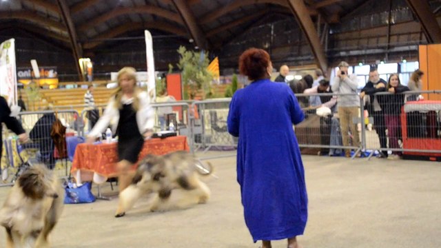 DSC_0035 jeunes males