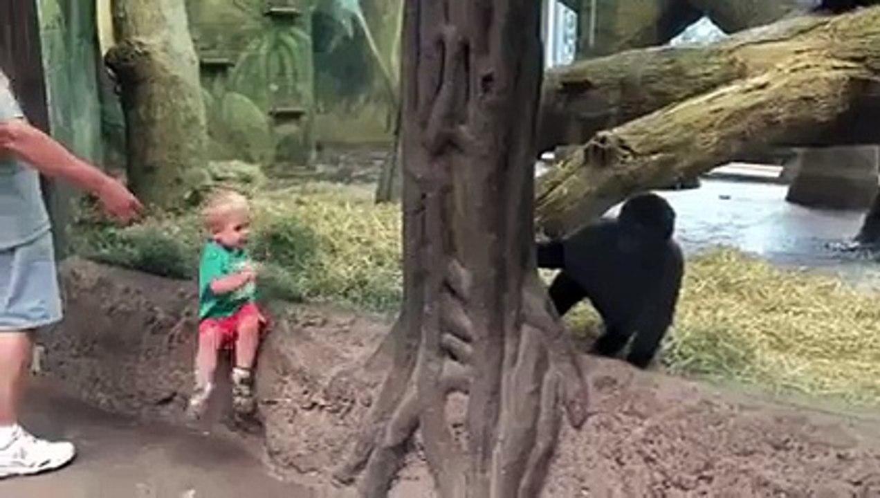 monky playing with child
