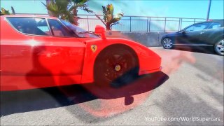 Ferrari Enzo | The Billionaire Toy