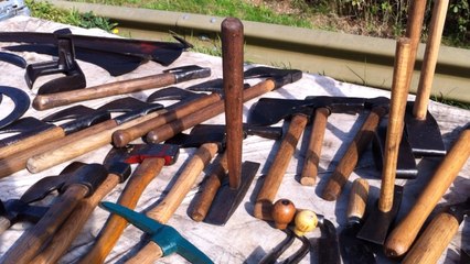 À la foire des Andaines