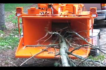 The tree cutter world's fastest