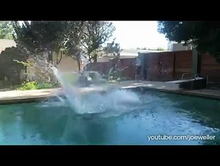 Wrestling stars styles in a pond