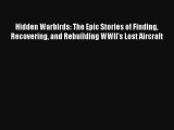 Hidden Warbirds: The Epic Stories of Finding Recovering and Rebuilding WWII's Lost Aircraft