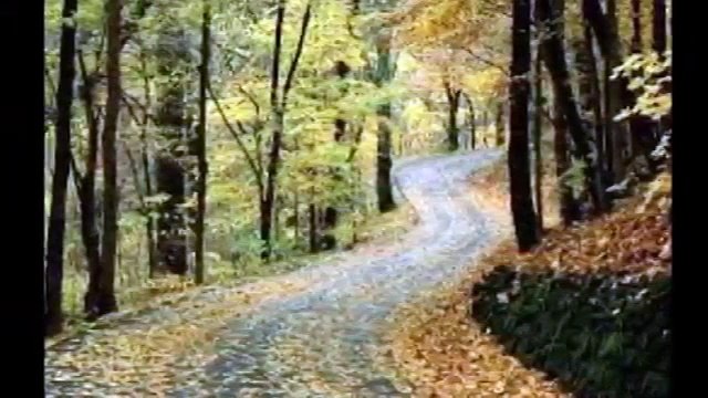 Müzeyyen Senar Yalnız Bırakıp Gitme
