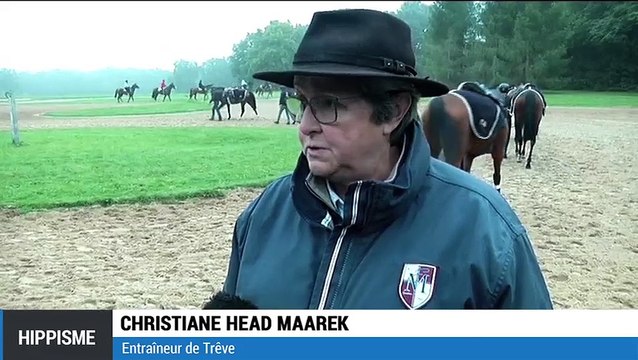 Trêve, la jument star du Qatar Prix de l'Arc de Triomphe