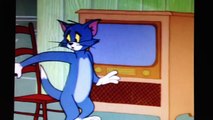 Tom & Jerry- Fear of Cats VS. Fear of Mice