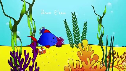 Les petits poissons dans l'eau
