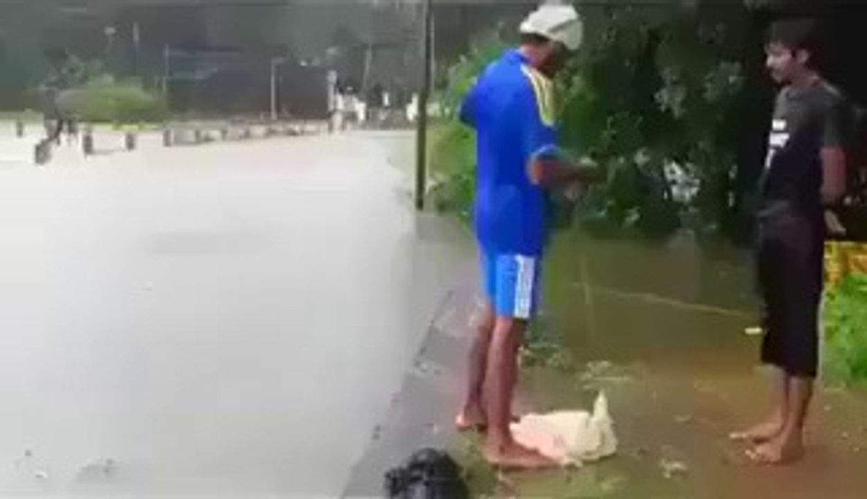 The easiest way to catch fish