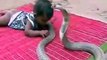 See What Snake Did when Baby was in Front of Her ??