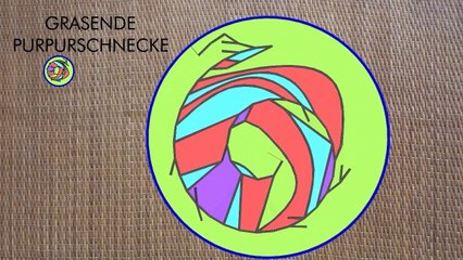 Trailer zur Dynamischen Netzentwicklung 2015