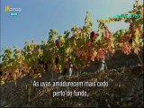 Portugal Extraordinário, visto pelos chineses, #3, Corpo e Alma - RTP2