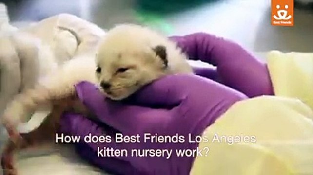 VID-20150804-WA0038.mp4