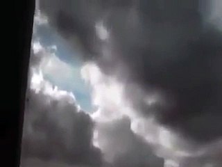 Real Life Fairy Caught on Camera