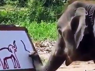 Un Elefante dibujando a un Elefante