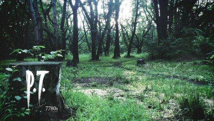 31 days of Fear (Season 3) Day 2 P.T.