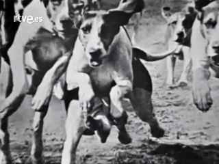 Los Gritos - Tienes Miedo