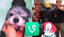 COMIC CON, CUTE DOGS & CATS - BEST VINES 2015: Vine Compilation #9