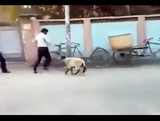 Ye tu har admi ko hint kar raha hai