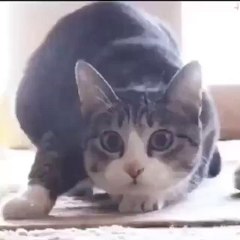 When the music takes over