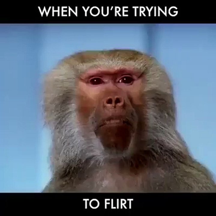 Because flirting is good..flirting is life!