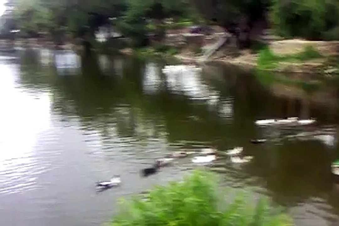 ayubpark