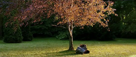 Tudo Vai Ficar Bem   - Trailer