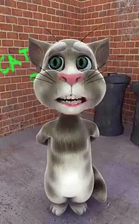 Funny Cat