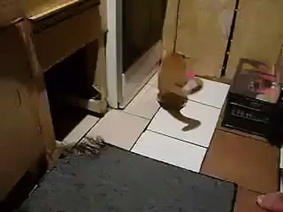 The tables have turned