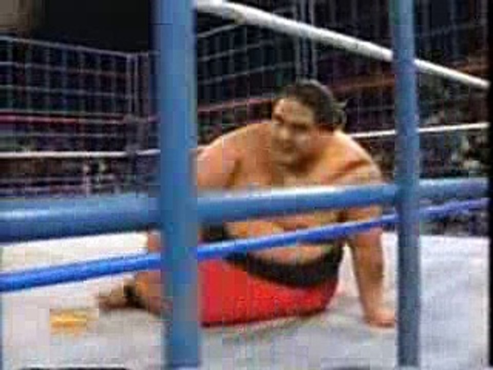 WWF - Bret Hart Vs Yokozuna (Steel Cage Match) For WWF Title
