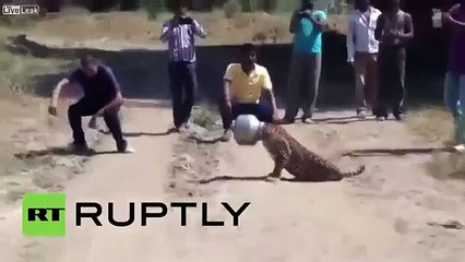 con-bao-bi-ket-dau-trong-noi-vi-an-vung-1443892378