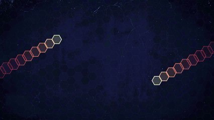 What did She or He say?