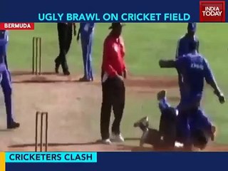 Watch this ugly fight between two Bermuda players