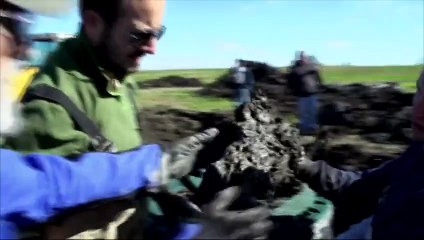 Un fermier du Michigan découvre un squelette de mammouth sur son terrain