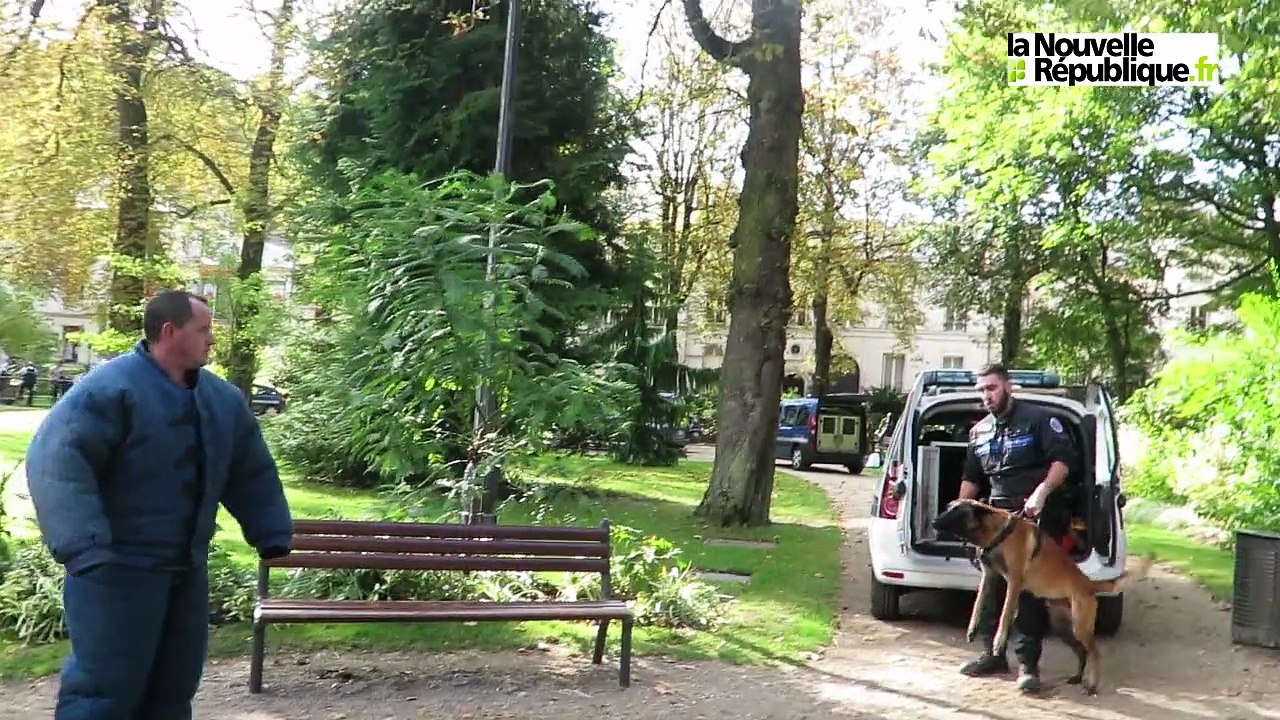 VIDEO. Tours. Aux Rencontres de la sécurité, les chiens assurent