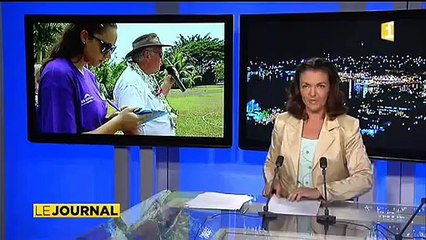 Concours de dressage canin à Pirae