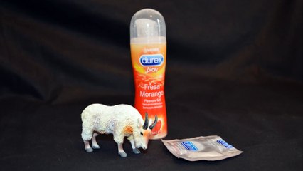 El Horoscopon de Capricornio, 1 º semana de octubre del 2015, Follabilidad