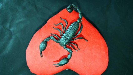 El Horoscopon de Escorpio, 1 º semana de octubre del 2015, Amor