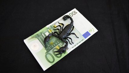 El Horoscopon de Escorpio, 1 º semana  de octubre del 2015, Dinero y Trabajo