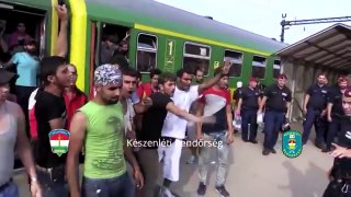 Crise des migrants, une vidéo que les médias officiels ne vous montreront pas