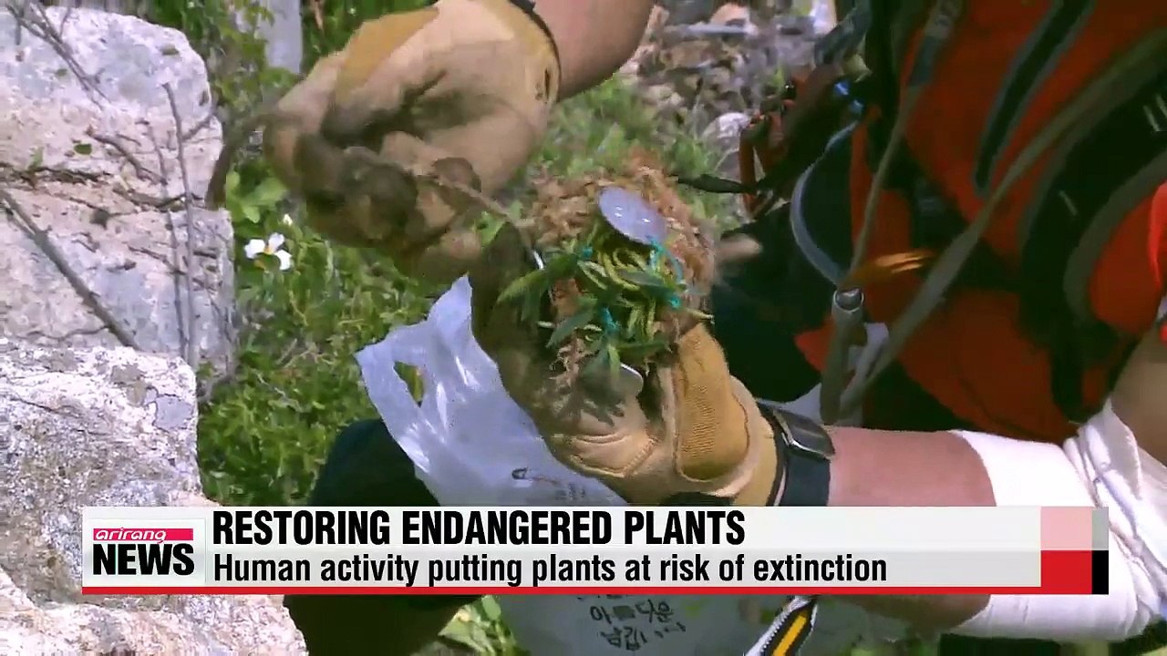 Korea National Park project aims to restore endangered plants