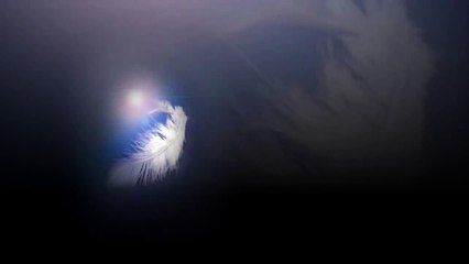 LUIGI TENCO   Un giorno dopo l'altro