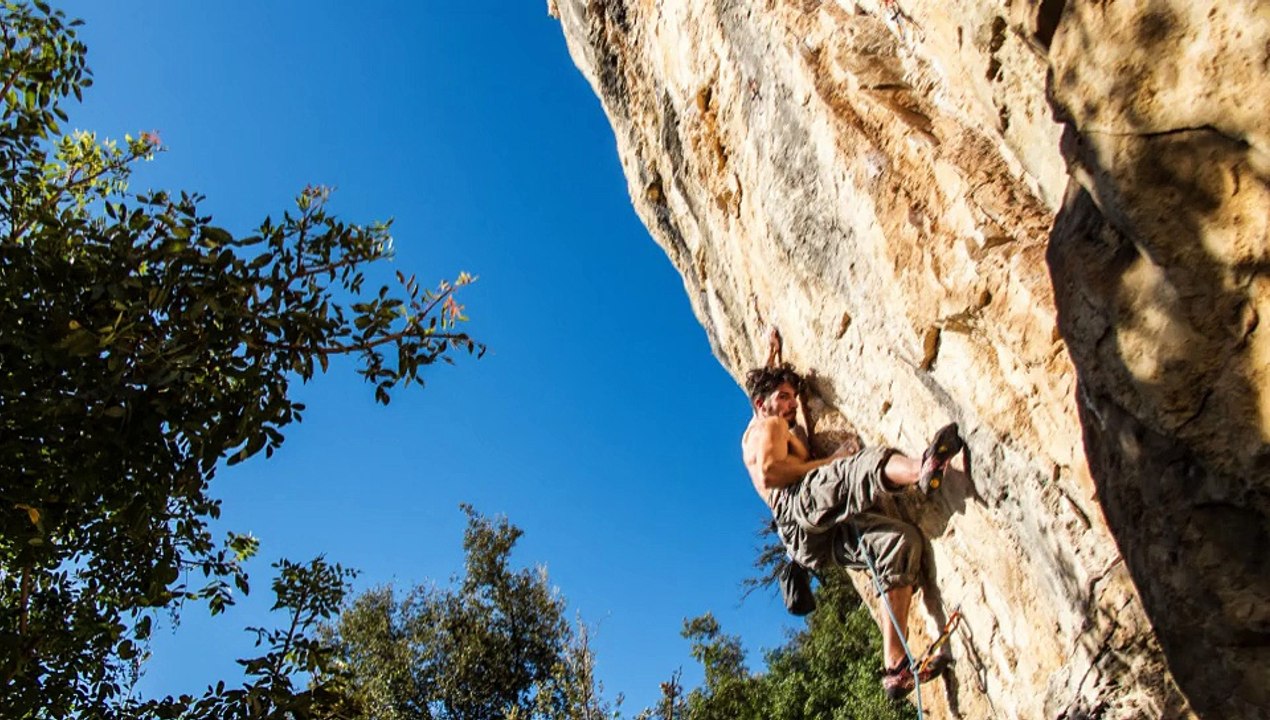 After Effects Template - Photo Animator | Videohive