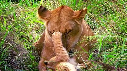 Ovo je Zemlja, naša planeta