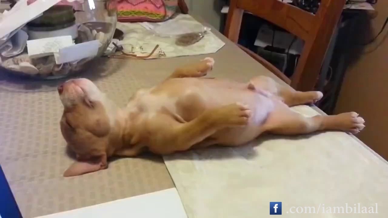 Iedereen op zondagmorgen Be like