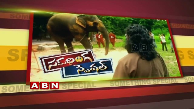 Artificial limbs to Elephant