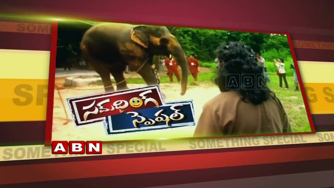 Artificial limbs to Elephant