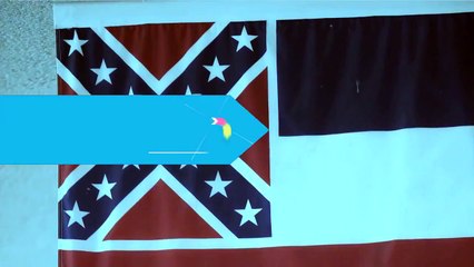 CONFEDERATE FLAG - Supporters Rally at Stone Mountain in Georgia