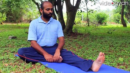 Morning Yoga Series   Janu ShirasasanaHead to Toe Pose