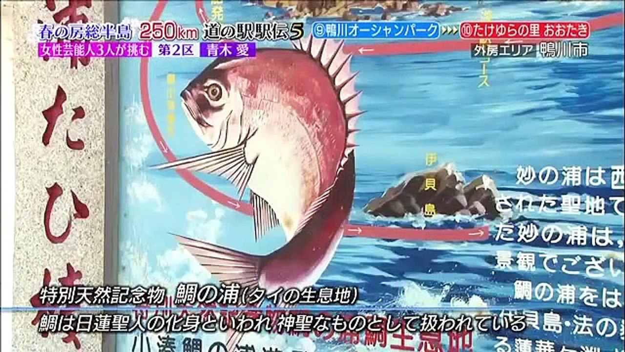 房総半島ぐるり！激走250キロ 道の駅駅伝5 - PART 2/2