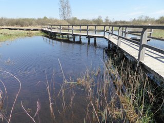 Leipheimer Moos bei Günzburg